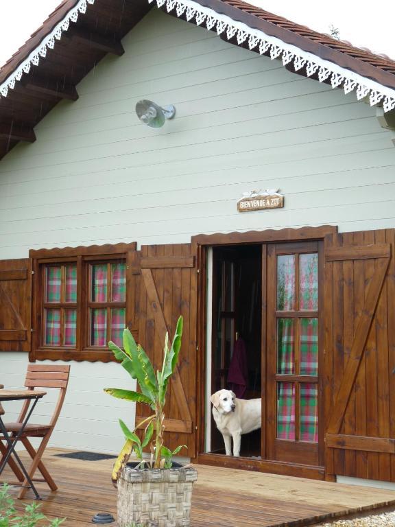 Le Trot'In Chair Bed and Breakfast Martigny-le-Comte Kamer foto