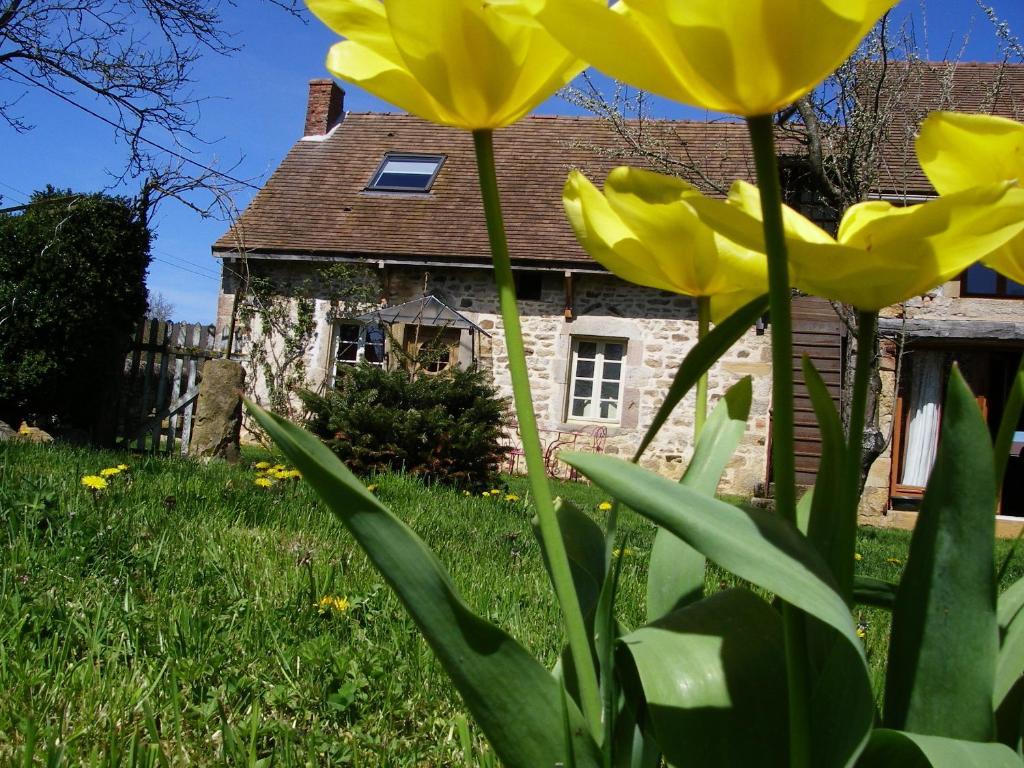 Le Trot'In Chair Bed and Breakfast Martigny-le-Comte Buitenkant foto