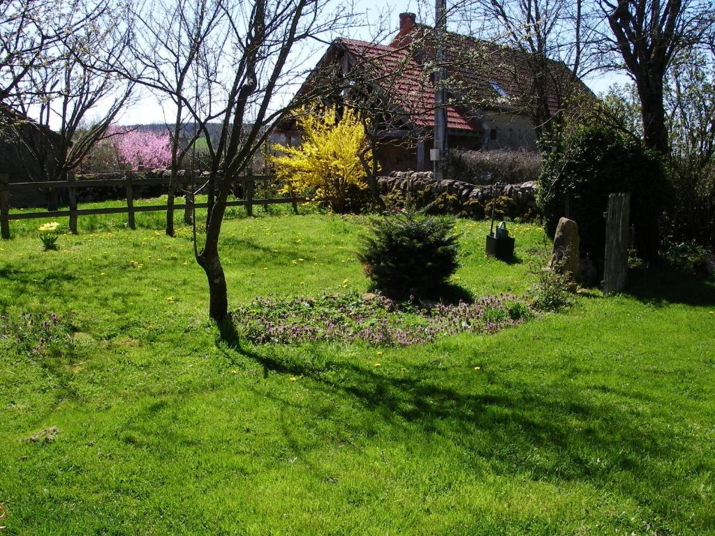 Le Trot'In Chair Bed and Breakfast Martigny-le-Comte Buitenkant foto