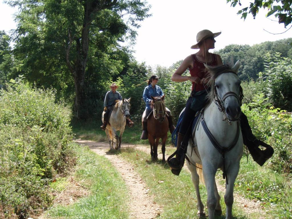 Le Trot'In Chair Bed and Breakfast Martigny-le-Comte Buitenkant foto