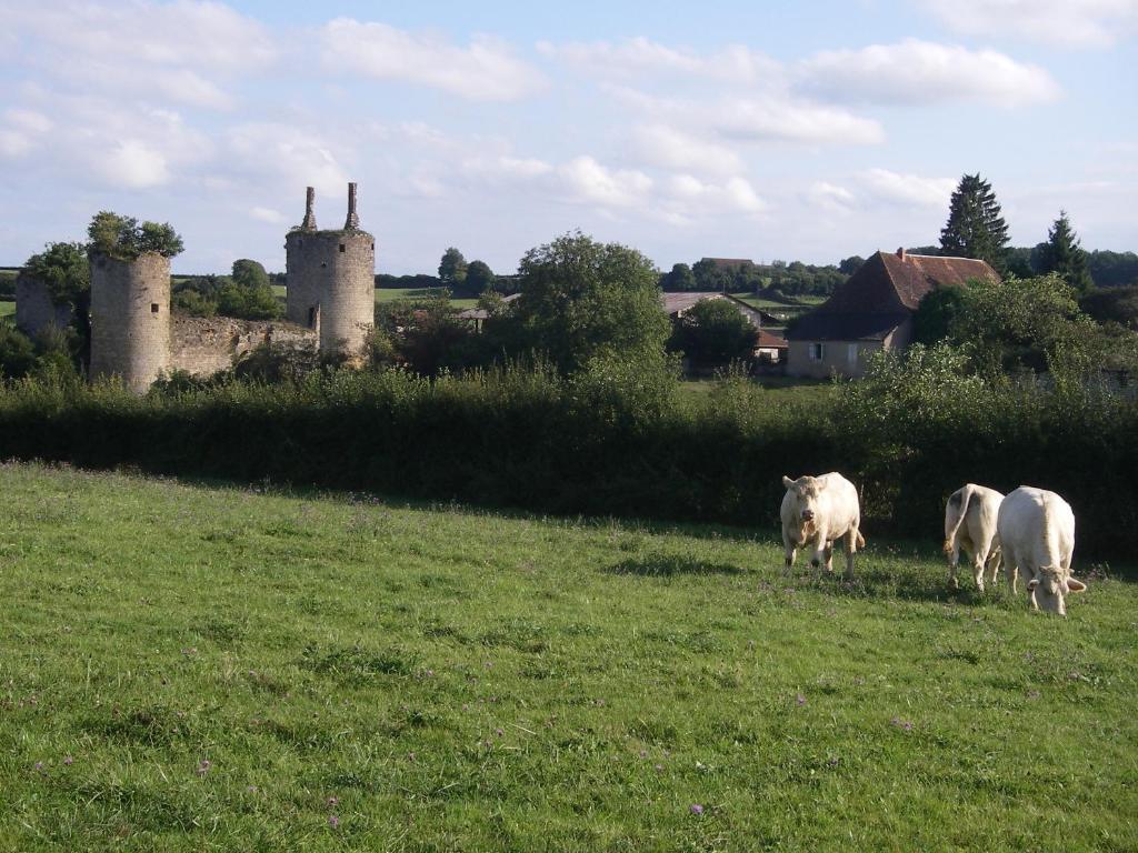 Le Trot'In Chair Bed and Breakfast Martigny-le-Comte Buitenkant foto